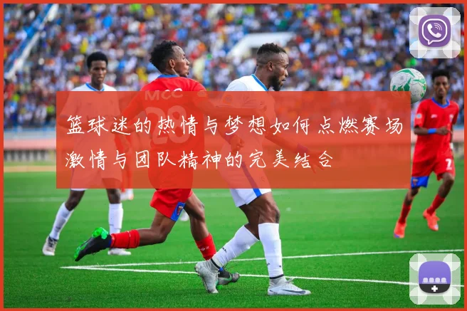 篮球迷的热情与梦想如何点燃赛场激情与团队精神的完美结合