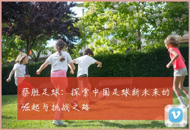 蔡胜足球：探索中国足球新未来的崛起与挑战之路
