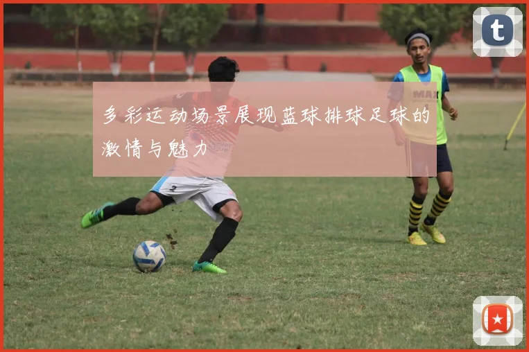 多彩运动场景展现蓝球排球足球的激情与魅力