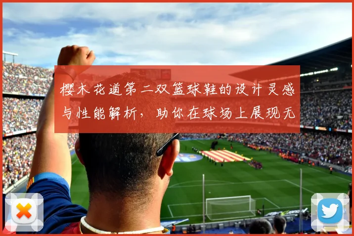 樱木花道第二双篮球鞋的设计灵感与性能解析，助你在球场上展现无限风采