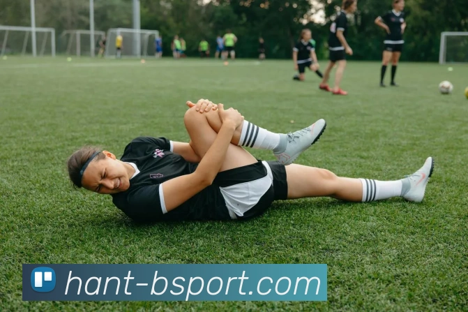 B体育官网APP 封面图